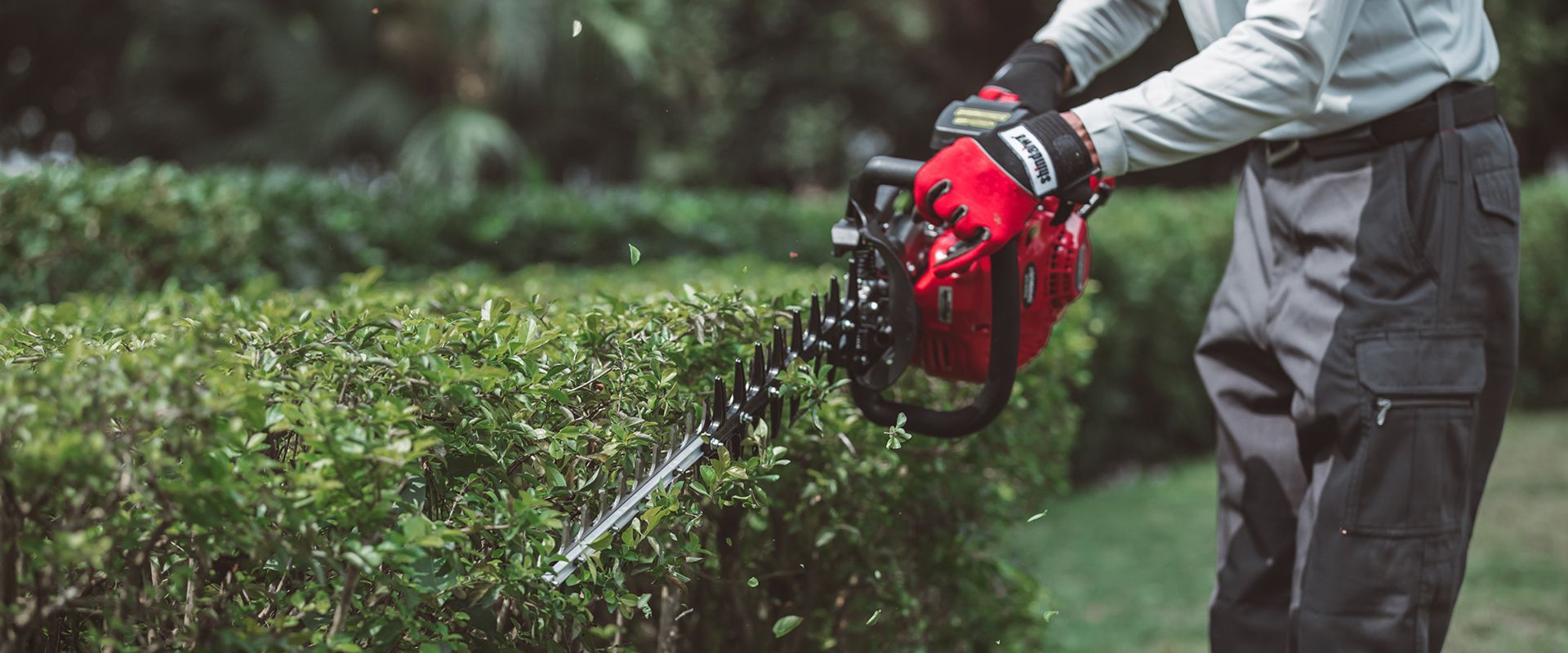 Double-sided Hedge Trimmer