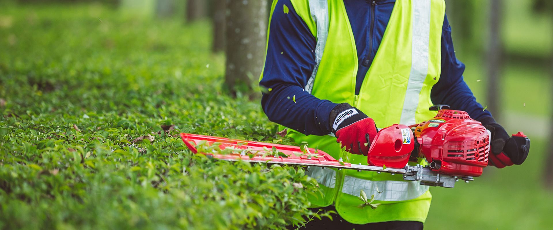 Single-sided Hedge Trimmer