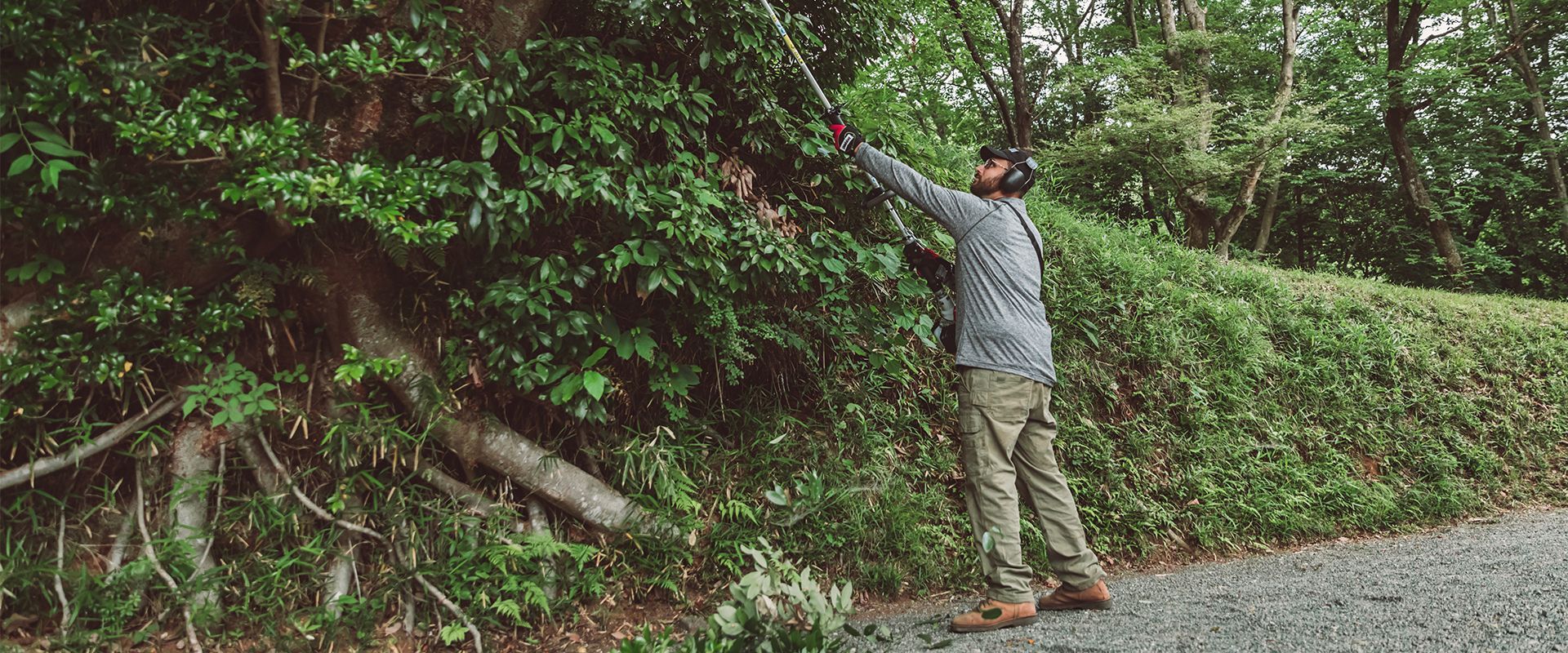 Pole Pruner