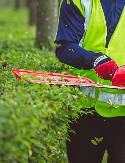 Single-sided Hedge Trimmer