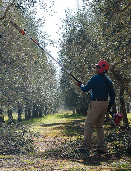 Pole Pruner