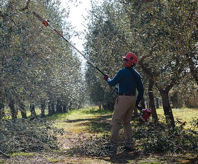 Pole Pruner