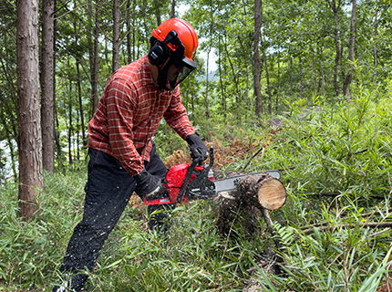 Shindaiwa release 410 and 493 chainsaws 